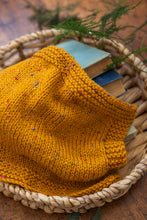 Load image into Gallery viewer, Emu Classic Aran with Wool Tweed, 400g