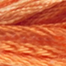 Load image into Gallery viewer, Mouliné Color Variations Threads