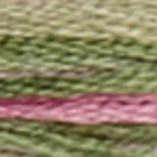 Load image into Gallery viewer, DMC Coloris threads