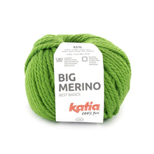 Load image into Gallery viewer, Katia Big Merino green grass
