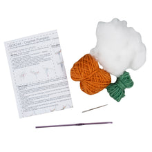 Load image into Gallery viewer, Pumpkin Crochet Kit Trimits GCK244