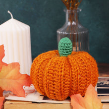 Load image into Gallery viewer, Pumpkin Crochet Kit Trimits GCK244