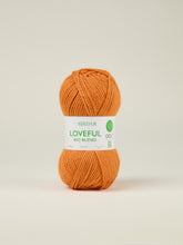 Load image into Gallery viewer, Loveful Bio Blend Chunky, 100g