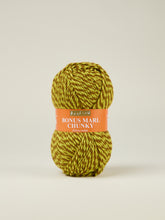 Load image into Gallery viewer, Sirdar Hayfield bonus marl chunky F267-0505 dappled glade