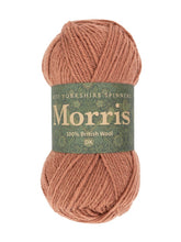 Load image into Gallery viewer, West Yorkshire Spinners Morris DK Chrysanthemum