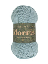 Load image into Gallery viewer, West Yorkshire Spinners Morris DK Hyacinth