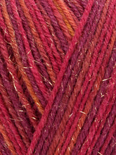 Load image into Gallery viewer, WYS Signature 4ply - Sparkle