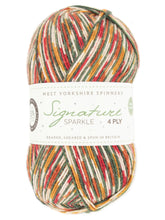 Load image into Gallery viewer, WYS West Yorkshire Spinners Signature 4ply - Sparkle Yuletide