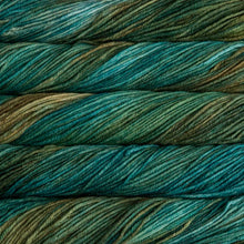 Load image into Gallery viewer, Malabrigo Rios