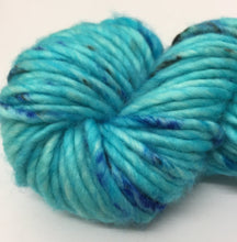 Load image into Gallery viewer, Superwash Chunky Singles Merino, 100g/3.5oz, Jump