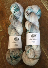 Load image into Gallery viewer, Superwash Merino Nylon Titanium Sock Yarn, 100g/3.5oz, Florence