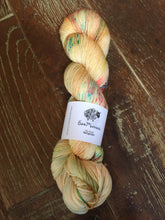 Load image into Gallery viewer, Superwash Merino Nylon Platinum Sock Yarn, 100g/3.5oz, I Am So Fab