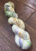 Load image into Gallery viewer, Superwash Merino Single Ply Fingering Yarn, 100g/3.5oz, Rendezvous
