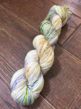Load image into Gallery viewer, Superwash Merino Single Ply Fingering Yarn, 100g/3.5oz, Rendezvous