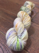 Load image into Gallery viewer, Superwash Merino Single Ply Fingering Yarn, 100g/3.5oz, Rendezvous