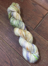 Load image into Gallery viewer, Superwash Merino Single Ply Fingering Yarn, 100g/3.5oz, Rendezvous