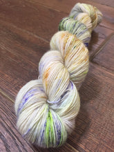Load image into Gallery viewer, Superwash Merino Single Ply Fingering Yarn, 100g/3.5oz, Rendezvous