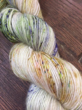 Load image into Gallery viewer, Superwash Merino Single Ply Fingering Yarn, 100g/3.5oz, Rendezvous