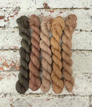 Load image into Gallery viewer, Minis Sock Set, Merino/Nylon, 100g, The Subtles