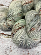 Load image into Gallery viewer, Superwash BFL Nylon Ultimate Sock Yarn, 100g/3.5oz, A Brave Man