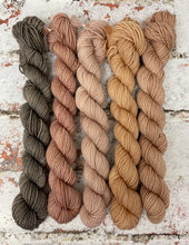 Load image into Gallery viewer, Minis Sock Set, Merino/Nylon, 100g, The Subtles