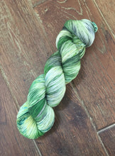 Load image into Gallery viewer, Superwash Merino Nylon Titanium Sock Yarn, 100g/3.5oz, Tell it to the Frogs