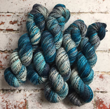 Load image into Gallery viewer, Superwash Zebra 4 Ply Fingering Yarn, 100g/3.5oz, Ship of Fools