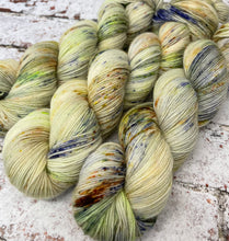 Load image into Gallery viewer, Superwash Bluefaced Leicester Nylon Ultimate Sock Yarn, 100g/3.5oz, Rendezvous