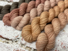 Load image into Gallery viewer, Minis Sock Set, Merino/Nylon, 100g, The Subtles