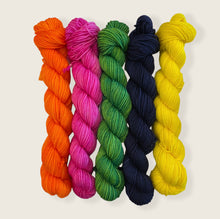 Load image into Gallery viewer, Minis Sock Set, Merino/Nylon, 100g, The Gaga Collection