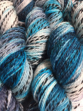 Load image into Gallery viewer, Superwash Zebra 4 Ply Fingering Yarn, 100g/3.5oz, Ship of Fools