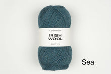 Load image into Gallery viewer, Cushendale Irish Wool, DK