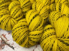 Load image into Gallery viewer, Superwash Zebra 4 Ply Fingering Yarn, 100g/3.5oz, Disco Stick