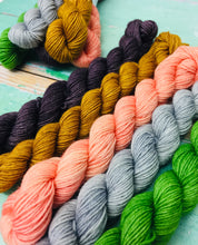 Load image into Gallery viewer, That’s Gossip Minis Sock Set, Superwash Bluefaced Leicester, 100g