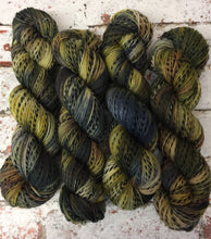 Load image into Gallery viewer, Superwash Zebra 4 Ply Fingering Yarn, 100g/3.5oz, A Forest