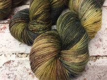 Load image into Gallery viewer, Superwash BFL Nylon Ultimate Sock Yarn, 100g/3.5oz, A Forest