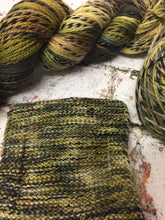 Load image into Gallery viewer, Superwash Zebra 4 Ply Fingering Yarn, 100g/3.5oz, A Forest