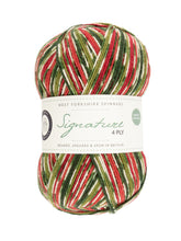 Load image into Gallery viewer, WYS Signature 4ply - Christmas
