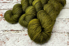 Load image into Gallery viewer, Superwash Merino Single Ply Fingering Yarn, 100g/3.5oz, Bagginses