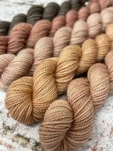Load image into Gallery viewer, Minis Sock Set, Merino/Nylon, 100g, The Subtles