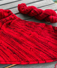 Load image into Gallery viewer, Superwash Zebra 4 Ply Fingering Yarn, 100g/3.5oz, Bloody Mary