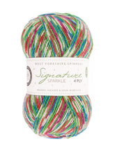 Load image into Gallery viewer, WYS West Yorkshire Spinners Signature 4ply - Sparkle Fairy Lights