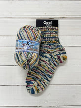 Load image into Gallery viewer, Opal X-Large Wilder Winter 8ply/DK
