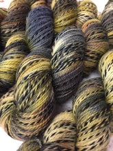 Load image into Gallery viewer, Superwash Zebra 4 Ply Fingering Yarn, 100g/3.5oz, A Forest