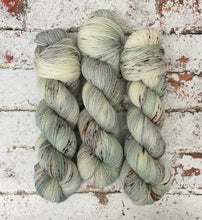 Load image into Gallery viewer, Superwash Merino Nylon Titanium Sock Yarn, 100g/3.5oz, The Brave Man