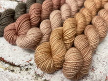 Load image into Gallery viewer, Minis Sock Set, Merino/Nylon, 100g, The Subtles