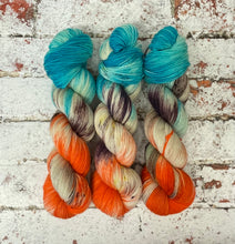 Load image into Gallery viewer, Superwash BFL Nylon Ultimate Sock Yarn, 100g/3.5oz, Just Dunk Me