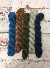 Load image into Gallery viewer, View from Cuilcagh Minis Sock Set, Superwash Bluefaced Leicester, 100g