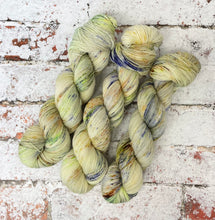 Load image into Gallery viewer, Superwash Bluefaced Leicester Nylon Ultimate Sock Yarn, 100g/3.5oz, Rendezvous