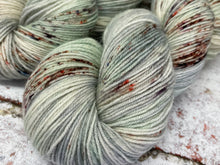 Load image into Gallery viewer, Superwash BFL Nylon Ultimate Sock Yarn, 100g/3.5oz, A Brave Man